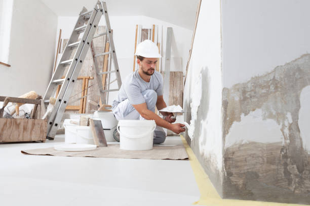 Professional Mold Removal in Tara Hills, CA