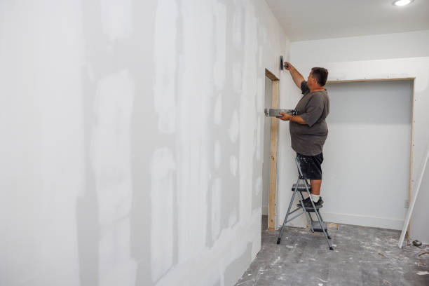 Best Mold Remediation for Healthcare Facilities  in Tara Hills, CA